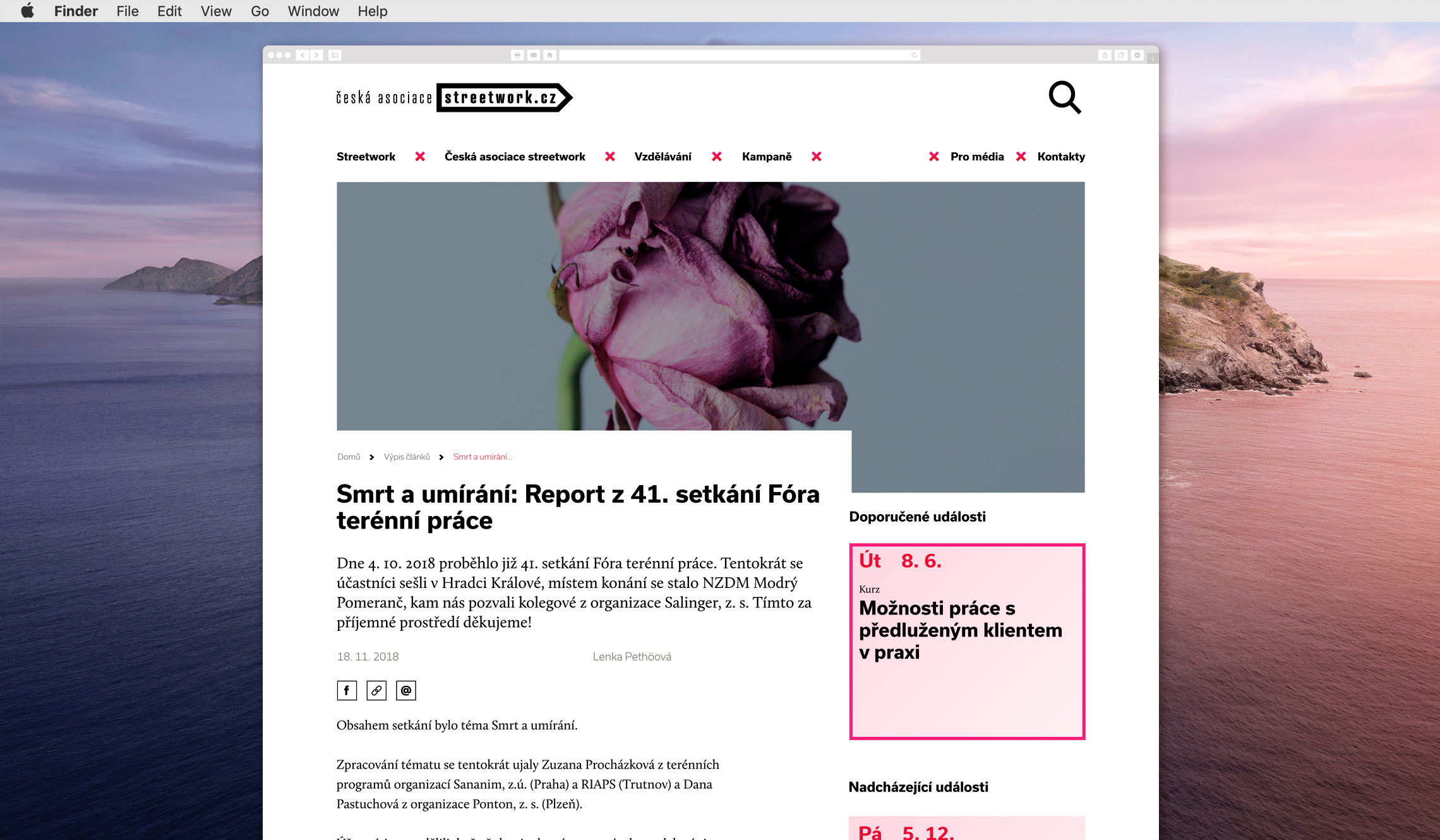 sw-web-02